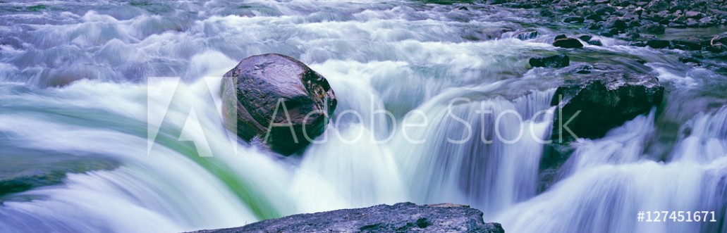 Picture of The Chosen One